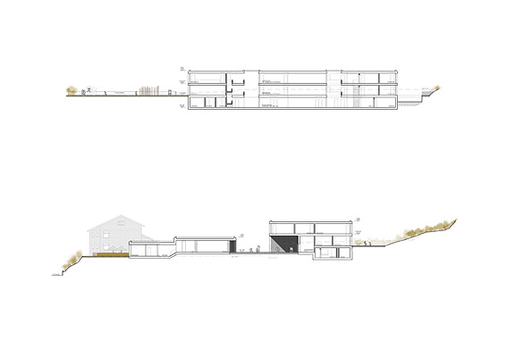 Längs- und Querschnitt